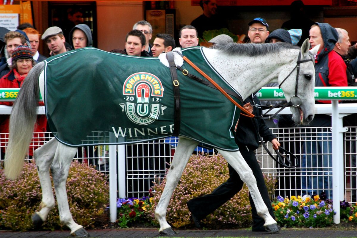 Grand National